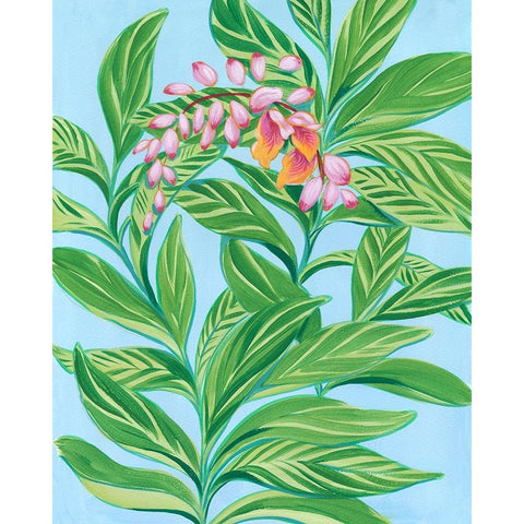 Tropical Shell Ginger I Gold Ornate Wood Framed Art Print with Double Matting by Marr, Laura