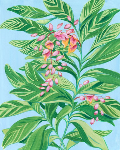 Tropical Shell Ginger II Black Ornate Wood Framed Art Print with Double Matting by Marr, Laura