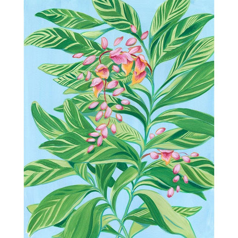 Tropical Shell Ginger II Gold Ornate Wood Framed Art Print with Double Matting by Marr, Laura