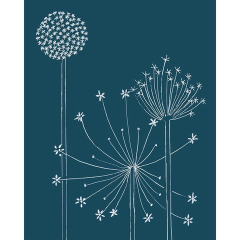 Graphic Alliums I White Modern Wood Framed Art Print by Longley, Alicia