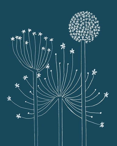 Graphic Alliums II White Modern Wood Framed Art Print with Double Matting by Longley, Alicia