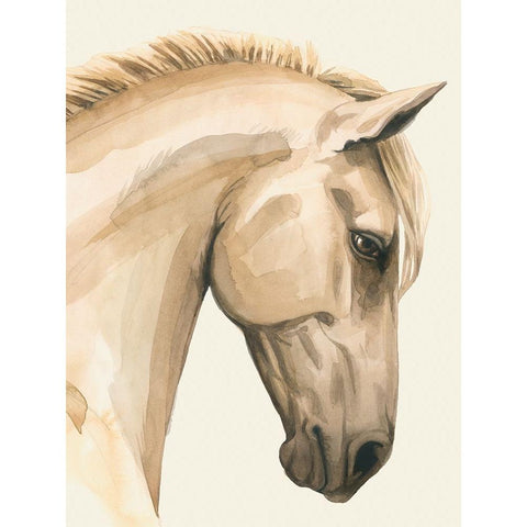 Golden Palomino I Gold Ornate Wood Framed Art Print with Double Matting by Popp, Grace