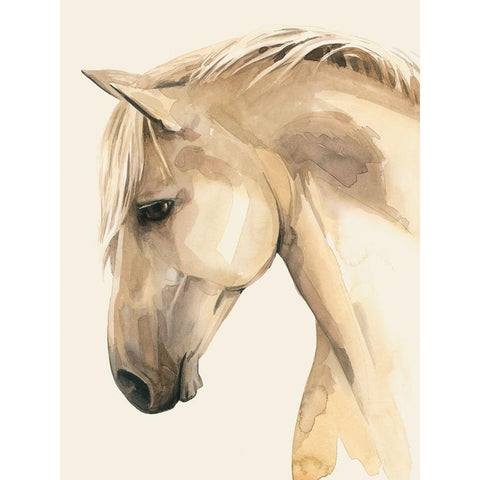 Golden Palomino II Black Modern Wood Framed Art Print with Double Matting by Popp, Grace