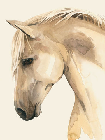 Golden Palomino II White Modern Wood Framed Art Print with Double Matting by Popp, Grace