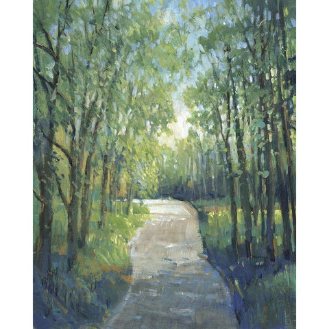 Golden Light Pathways I Black Modern Wood Framed Art Print with Double Matting by OToole, Tim