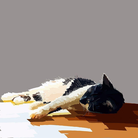 Sunning Kitties IV White Modern Wood Framed Art Print by Kalina, Emily