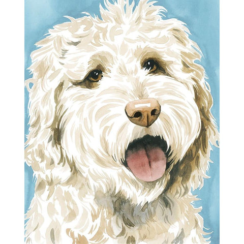 Labradoodle II Black Modern Wood Framed Art Print with Double Matting by Popp, Grace