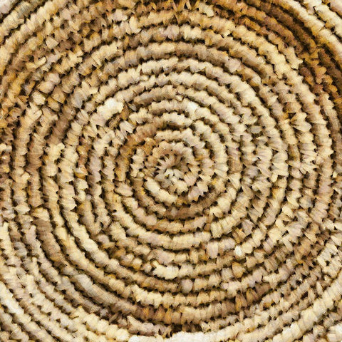 Basket Bottom II White Modern Wood Framed Art Print by Saunders, Alonzo