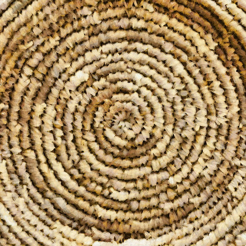 Basket Bottom II White Modern Wood Framed Art Print with Double Matting by Saunders, Alonzo