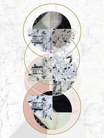 Inner Circles II Black Ornate Wood Framed Art Print with Double Matting by Cartissi