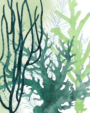 Textured Coral II Black Ornate Wood Framed Art Print with Double Matting by Popp, Grace