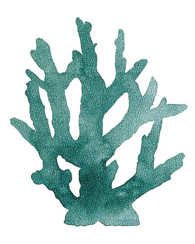 Coral Souvenirs I White Modern Wood Framed Art Print with Double Matting by Popp, Grace