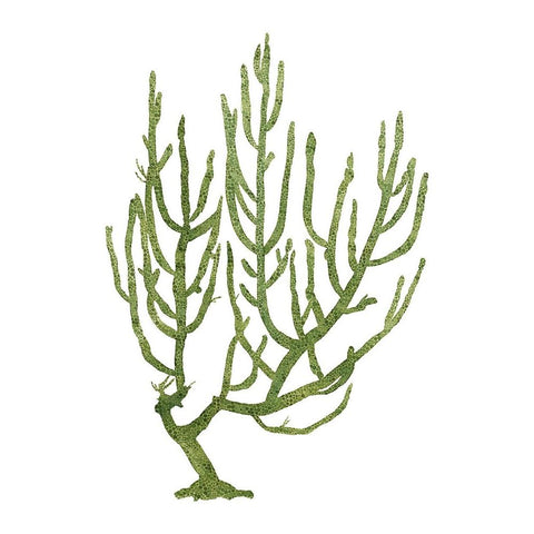 Coral Souvenirs III Black Modern Wood Framed Art Print with Double Matting by Popp, Grace