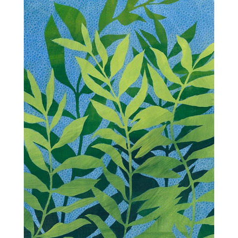 Ocean Vines II White Modern Wood Framed Art Print by Popp, Grace