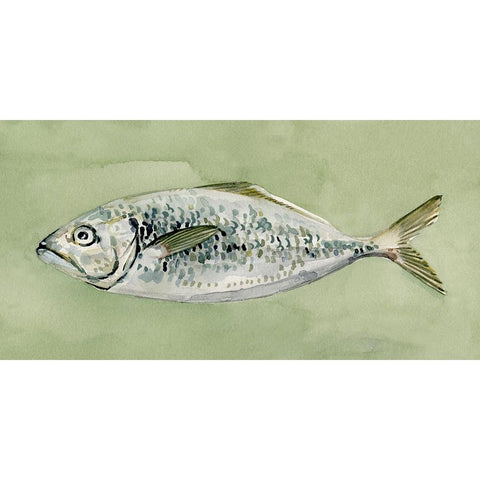 Green Sea Swimmer II White Modern Wood Framed Art Print by Caroline, Emma