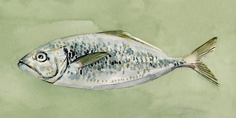 Green Sea Swimmer II White Modern Wood Framed Art Print with Double Matting by Caroline, Emma