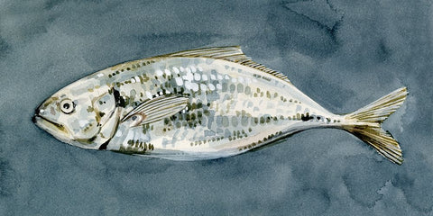 Deep Sea Swimmer I White Modern Wood Framed Art Print with Double Matting by Caroline, Emma