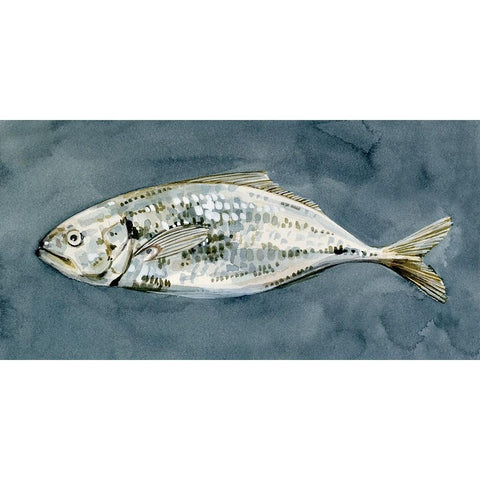 Deep Sea Swimmer I White Modern Wood Framed Art Print by Caroline, Emma