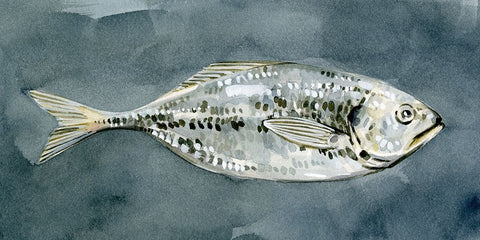 Deep Sea Swimmer II White Modern Wood Framed Art Print with Double Matting by Caroline, Emma