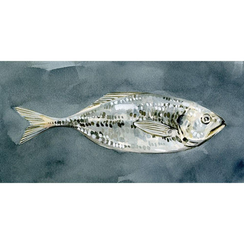 Deep Sea Swimmer II White Modern Wood Framed Art Print by Caroline, Emma