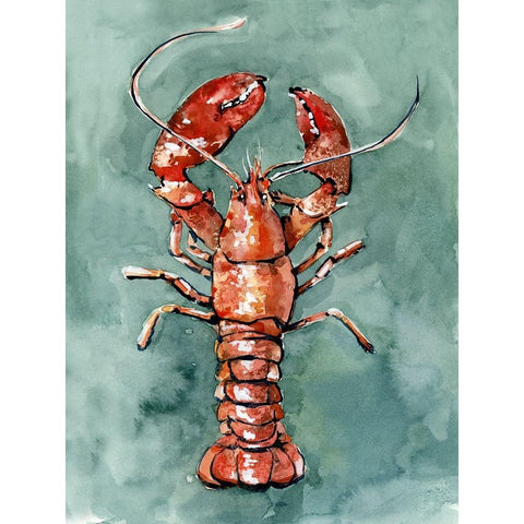 Aquatic Lobster II White Modern Wood Framed Art Print by Caroline, Emma