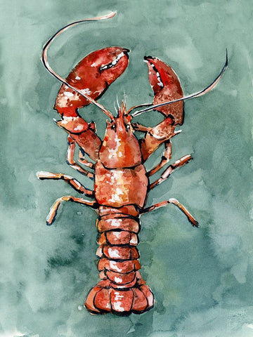 Aquatic Lobster II White Modern Wood Framed Art Print with Double Matting by Caroline, Emma