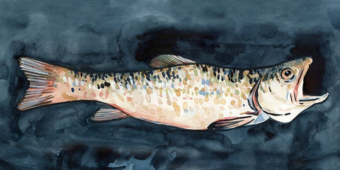 Hungry Fish II White Modern Wood Framed Art Print with Double Matting by Caroline, Emma