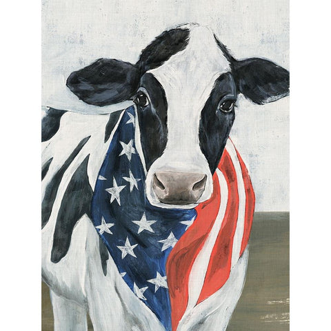 American Cow II Black Modern Wood Framed Art Print with Double Matting by Warren, Annie