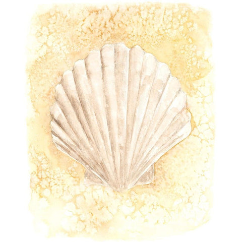 Salty Seashell II Black Modern Wood Framed Art Print by Warren, Annie