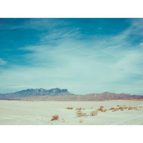 Salt Flat Walk II Gold Ornate Wood Framed Art Print with Double Matting by Quintero, Sonja
