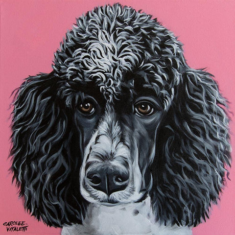 Black Poodle Black Modern Wood Framed Art Print by Vitaletti, Carolee