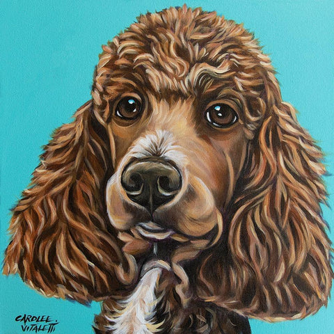 Brown Poodle Black Modern Wood Framed Art Print by Vitaletti, Carolee