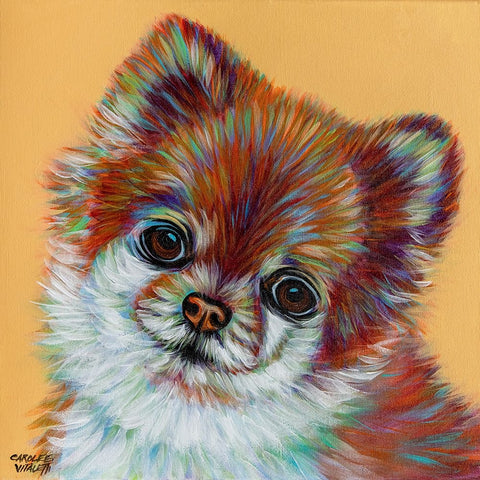 Colorful Pomeranian Black Ornate Wood Framed Art Print with Double Matting by Vitaletti, Carolee