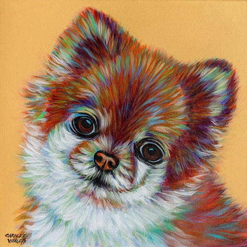 Colorful Pomeranian Black Modern Wood Framed Art Print by Vitaletti, Carolee