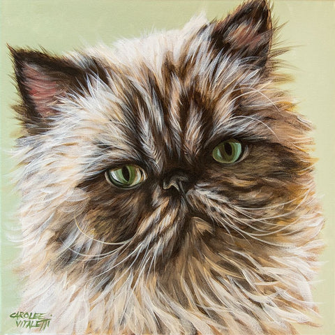 Persian Cat II White Modern Wood Framed Art Print with Double Matting by Vitaletti, Carolee