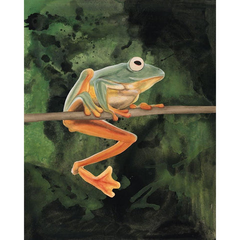 Watercolor Tree Frogs I Black Modern Wood Framed Art Print with Double Matting by Willett, Michael