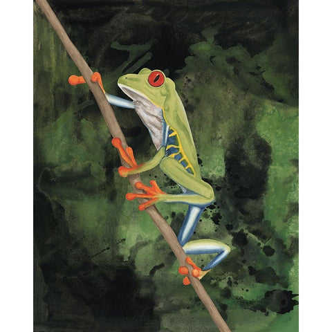 Watercolor Tree Frogs II White Modern Wood Framed Art Print by Willett, Michael