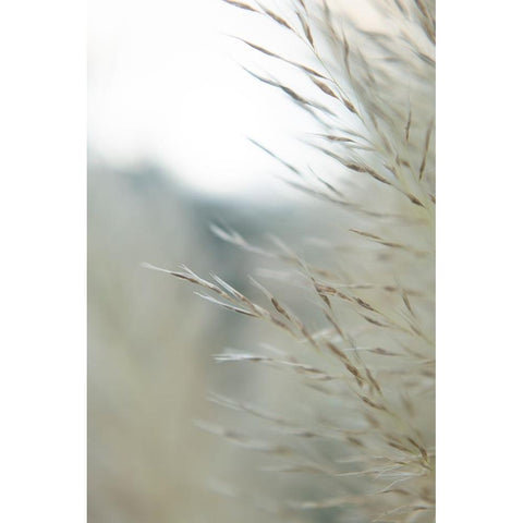 Subtle Grasses III Gold Ornate Wood Framed Art Print with Double Matting by Johnson, Jason