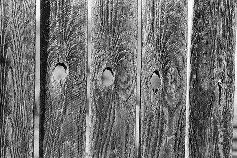 Found Textures II Black Ornate Wood Framed Art Print with Double Matting by Johnson, Jason