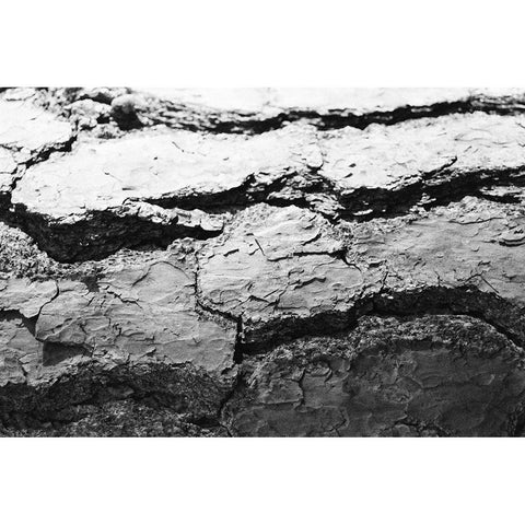Found Textures IV Black Modern Wood Framed Art Print with Double Matting by Johnson, Jason