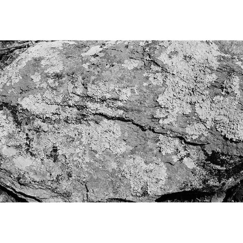 Found Textures XVI Black Modern Wood Framed Art Print by Johnson, Jason