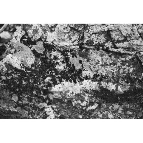 Found Textures XX Black Modern Wood Framed Art Print with Double Matting by Johnson, Jason