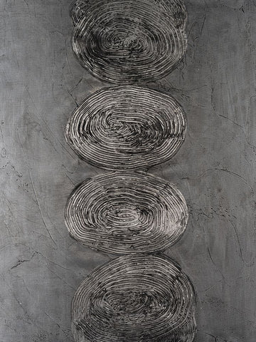Stacked Halos IV Black Ornate Wood Framed Art Print with Double Matting by Willett, Michael