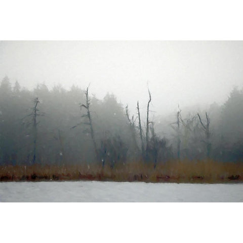 Desolate Beach Black Modern Wood Framed Art Print with Double Matting by Curinga, Kim
