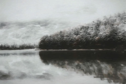 Forest Fog White Modern Wood Framed Art Print with Double Matting by Curinga, Kim