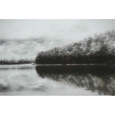 Forest Fog Black Modern Wood Framed Art Print by Curinga, Kim