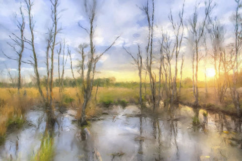 Sunrise Swamp Black Ornate Wood Framed Art Print with Double Matting by Curinga, Kim