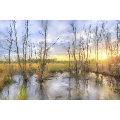 Sunrise Swamp Gold Ornate Wood Framed Art Print with Double Matting by Curinga, Kim