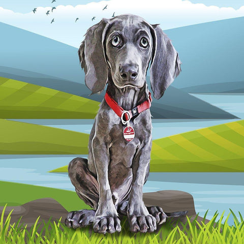 Baby Weimaraner Black Modern Wood Framed Art Print by Curinga, Kim