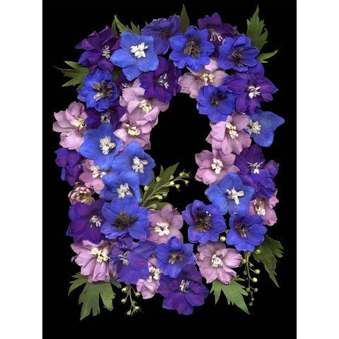Flower Drama II Black Modern Wood Framed Art Print with Double Matting by Stalus, Judy